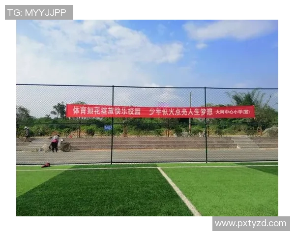 深度对话杨强探讨足球人生的起伏与梦想追寻