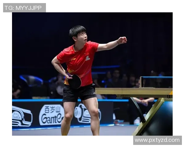 南京乒乓球队的节奏揭秘：从训练到比赛的精彩瞬间与背后故事