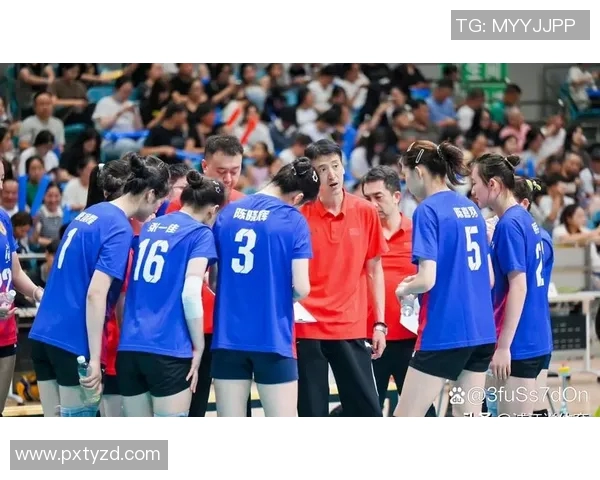 南京排球队在城市联赛中的实力展现与未来发展潜力分析