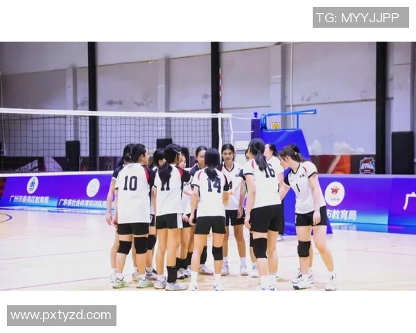 广州排球队现状揭秘：排球巨献背后的努力与挑战